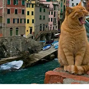 https://stella-di-rio-riomaggiore.hotelitalianriviera.com